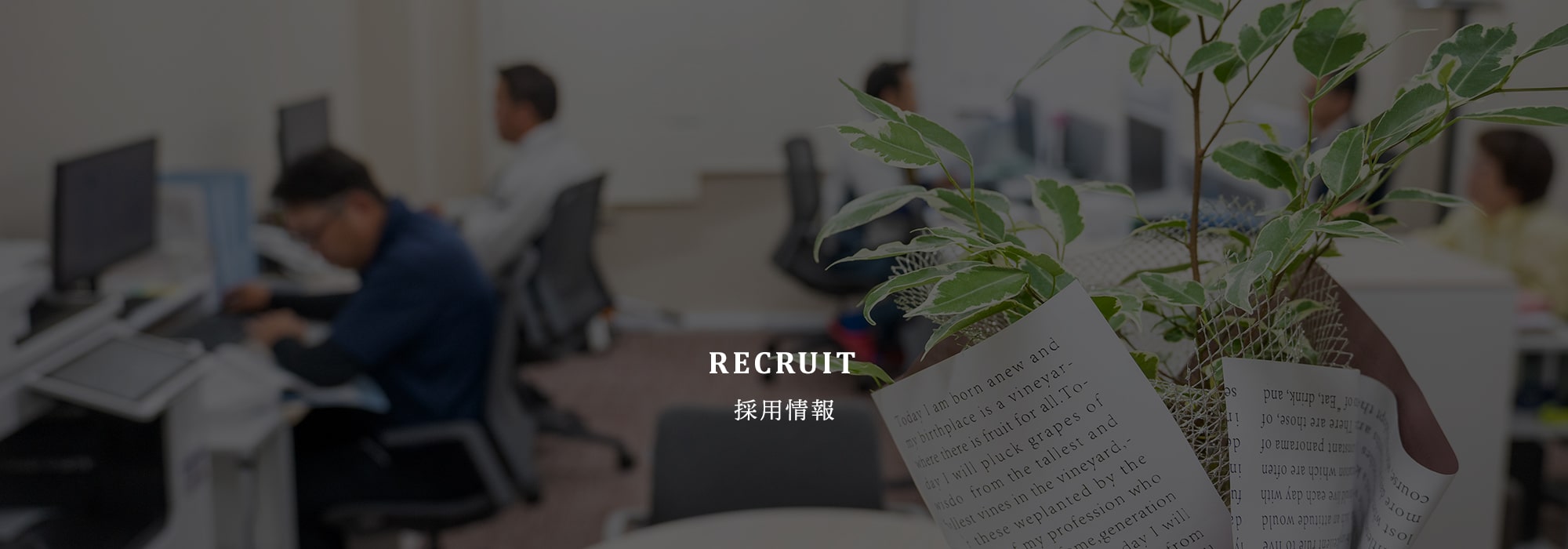 採用情報